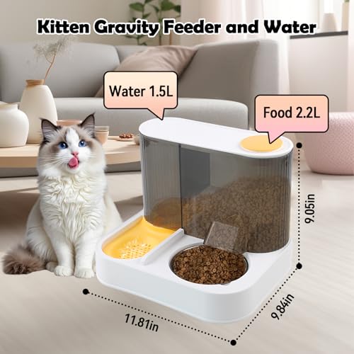 2 in 1 Automatic Cat Feeder and Water Dispenser Combo
