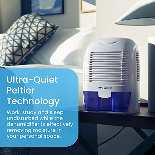 Electric Mini Dehumidifier
