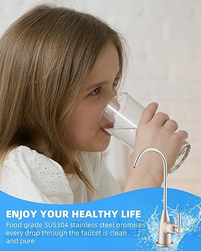 Drinking Water Faucet for Bar and Kitchen Sink
