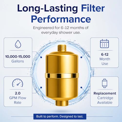 Shower Filter