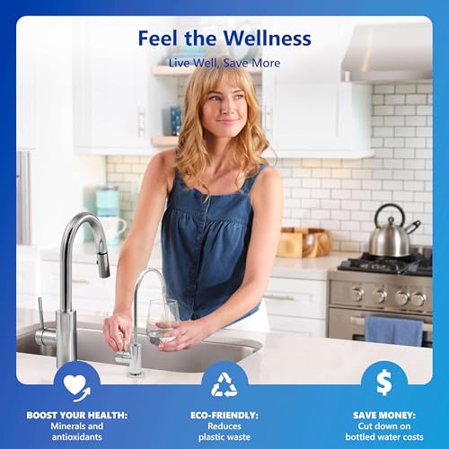 Reverse Osmosis Water Filter System