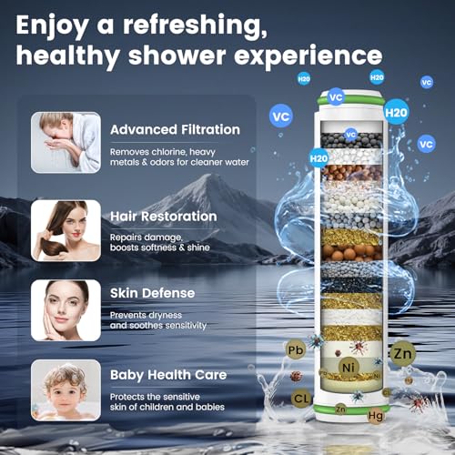 Filtered Shower Head with Handheld