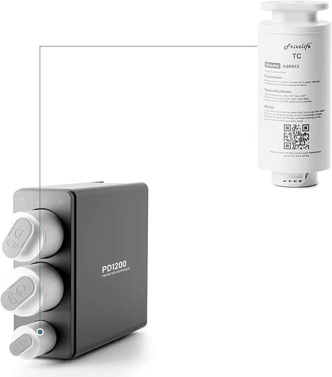 Frizzlife ASR613 Replacement Post Filter Cartridge For PD1200 Reverse Osmosis System(3rd Stage)