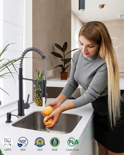Black Kitchen Faucet with Soap Dispenser