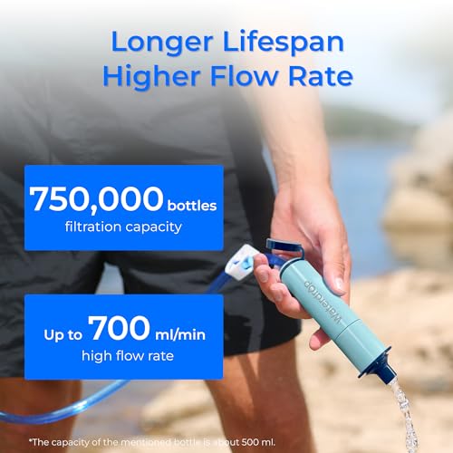 Portable Water Filter Straw (2 Count)