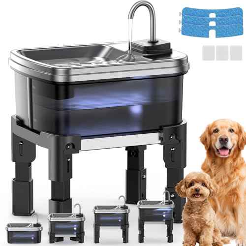 9L 2.38Gal Dog Water Fountain Elevated with 4