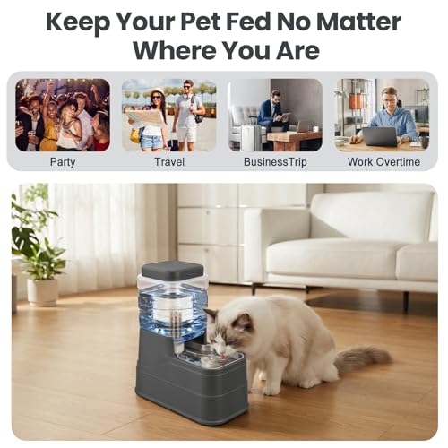 Automatic Cat Water Dispenser Gravity Stainless Steel Water Feeder Dog Waterer Feeder with Wide Mouth Bowl for Small Medium Dog Puppy Kitten