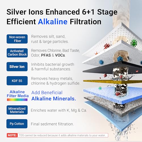 Upgraded] LCF Alkaline Replacement Filter (2 Count)