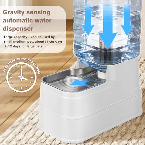1.6 Gallon Pet Automatic Dog Water Dispenser Cat Gravity Waterer Feeder with Stainless Steel Bowl 8L Large Capacity Puppy Feeding Raised Bowls with Filter