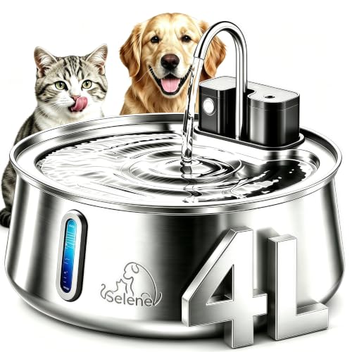 Dog Water Fountain