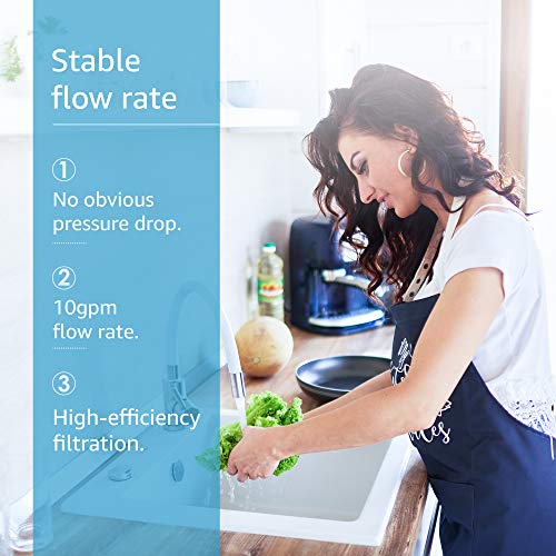 AP431 Whole House Scale Inhibitor Water Filter (3 Count)