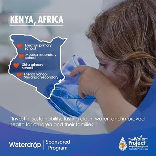 WFD 40B Water Filter Dispenser