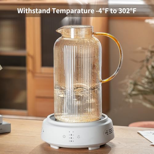 2 PACK Glass Pitcher with Lid