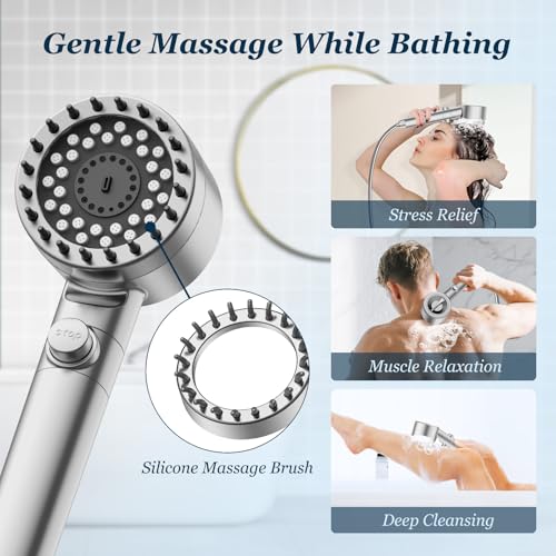 Filtered Shower Head with Handheld