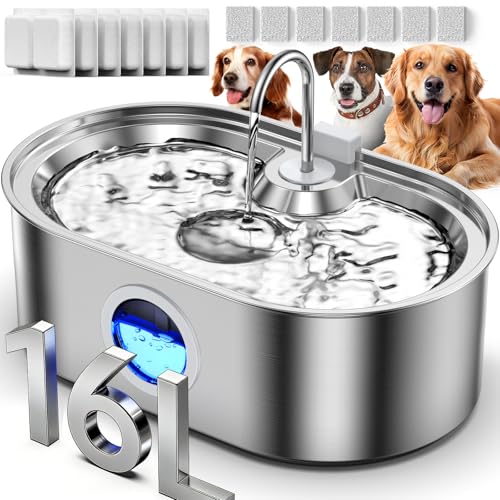 4.2Gal Dog Water Fountain for Large Dogs