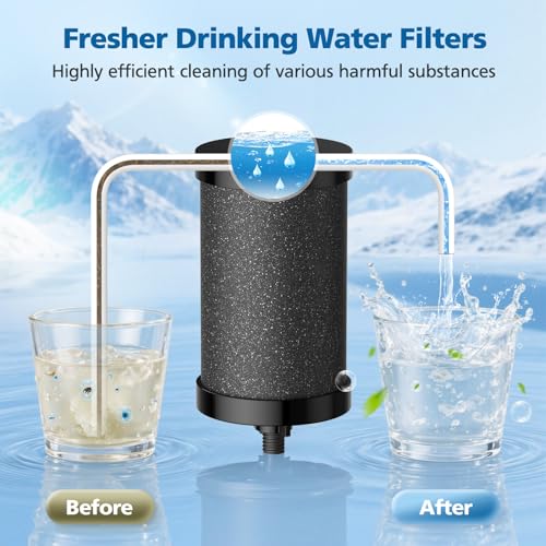 2 Pack 2387 Pro Filter Replacement for Alexapure 2387 Pro Water Filter (2 Count)