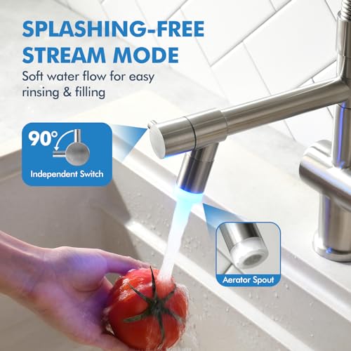 Kitchen Faucet with Pull Down Sprayer