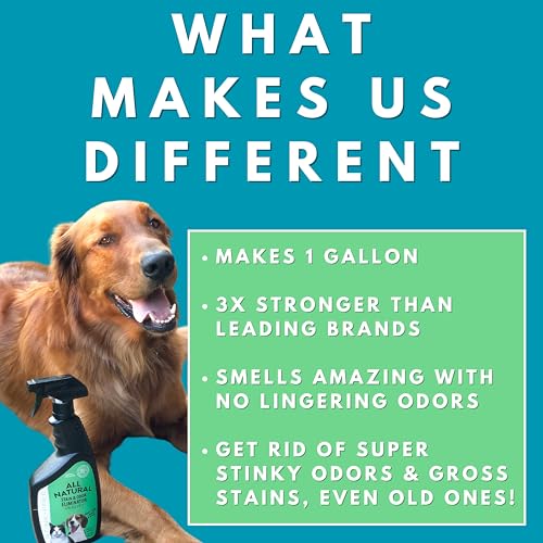 All Natural Stain & Urine Odor Eliminator Pet Enzyme Cleaner. Makes 1 Gallon. Dog & Cat Pee Smell Remover. Best Spray for Carpet (128 Fl Oz)