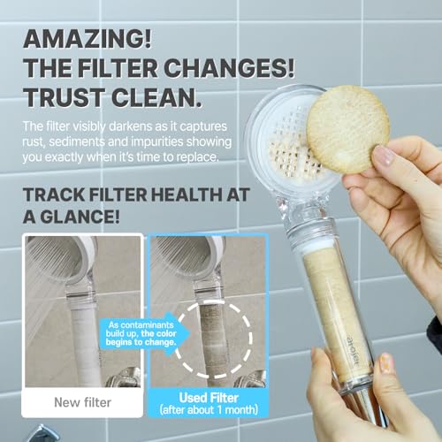 Travel Mini Filtered Shower Set Elevating Korea’s Beauty Legacy