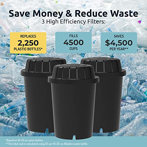 PH001 Black Alkaline Water Filter Replacement (3 Count)