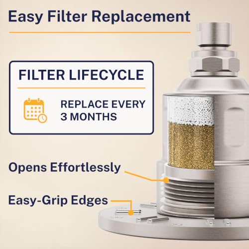 Gillian Filtered Shower Head for Hard Water