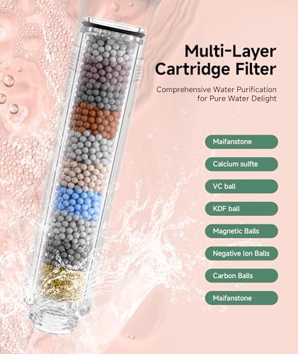 Filtered Shower Head with Handheld (4 Count)