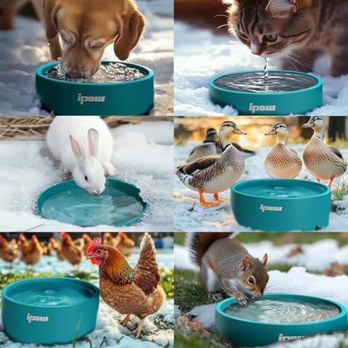 Pet Heated Bowl