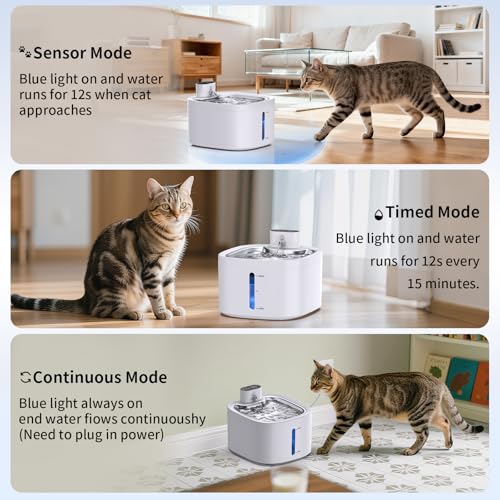 Cat Water Fountain Wireless