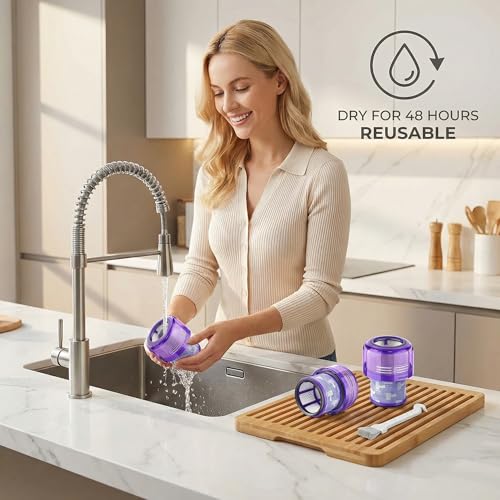 Dyson Outsize Filter (2 Count)
