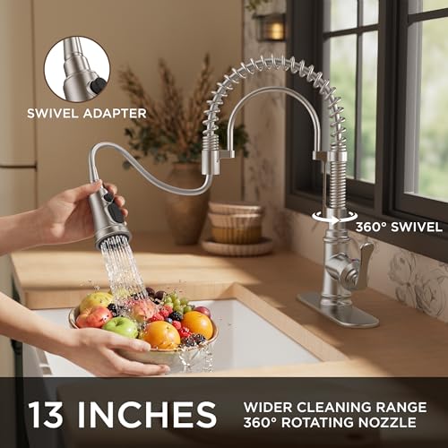 Kitchen Faucet with Pull Down Sprayer