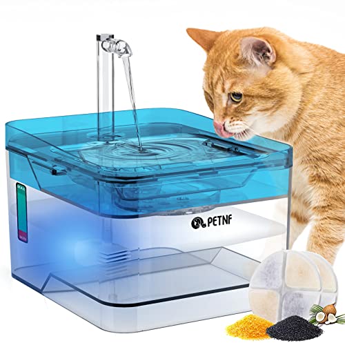 Blue Pet Water Fountain