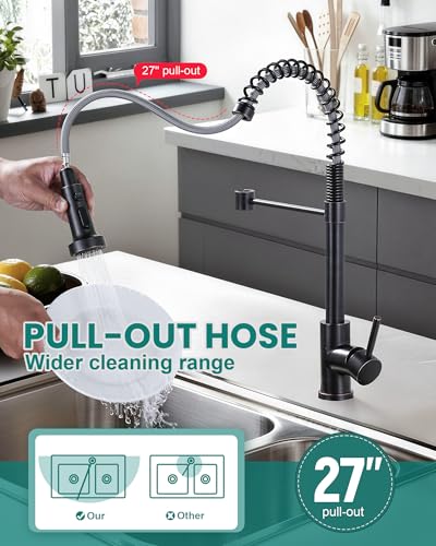 Kitchen Faucet with Pull Down Sprayer