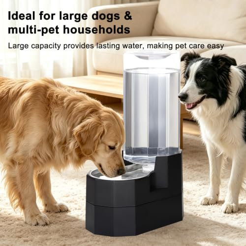 9L Elevated Dog Water Dispenser