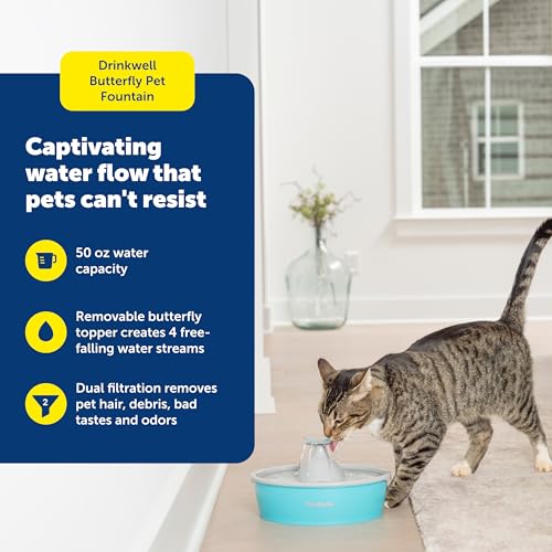 Butterfly Cat Water Fountain
