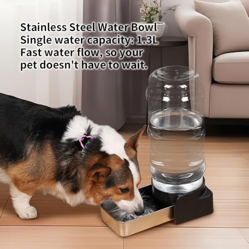 1.6 Gallon Gravity Dog Water Dispenser