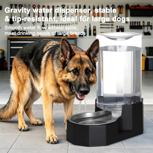 8L Large Dog Water Dispenser