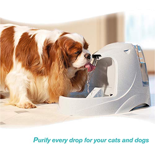 Water Fountain Filter Compatible with Drinkwell Platium Charcoal Pet Dog Cat Fountain Filters Replacement 12 pack (12 Count)