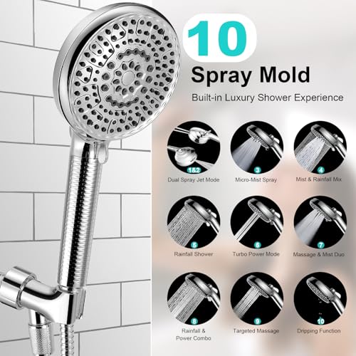 Filtered Shower Head with Handheld