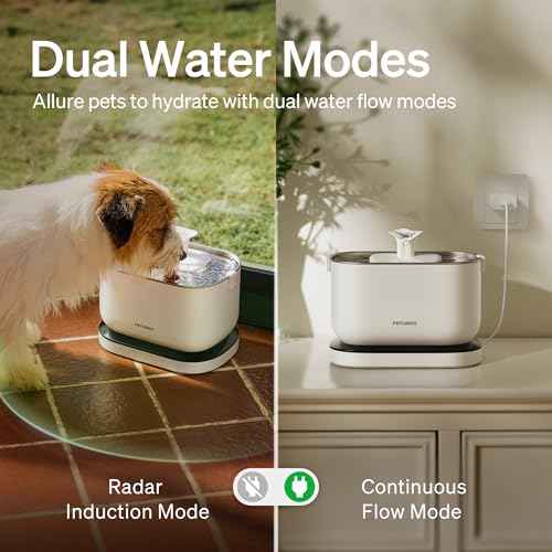 Cat Water Fountain