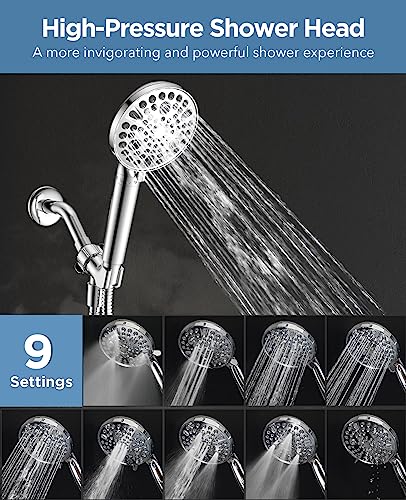 Filtered Shower Head with Handheld