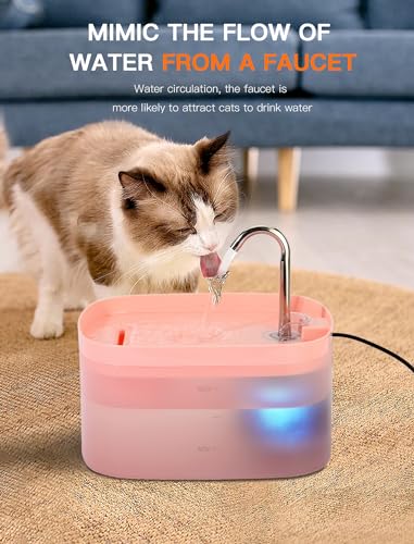 Cat Water Fountain
