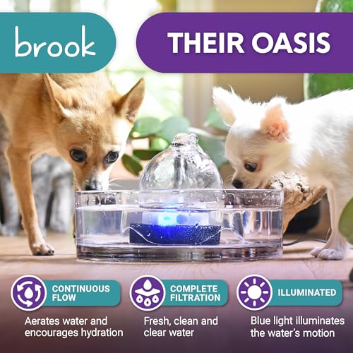 Glass Cat Water Fountain 90oz