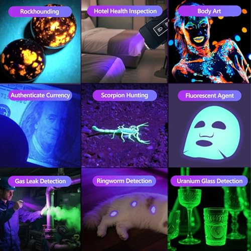 Flashlight Rechargeable with 365nm UV Black Light and White Light