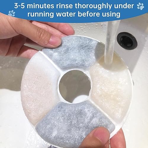 Cat Water Fountain Filter (10 Count)