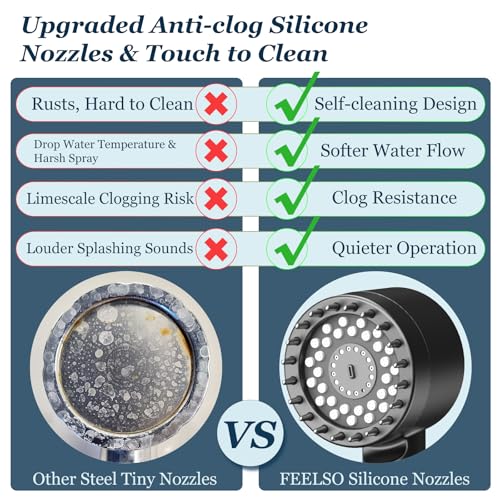 Filtered Shower Head with Handheld