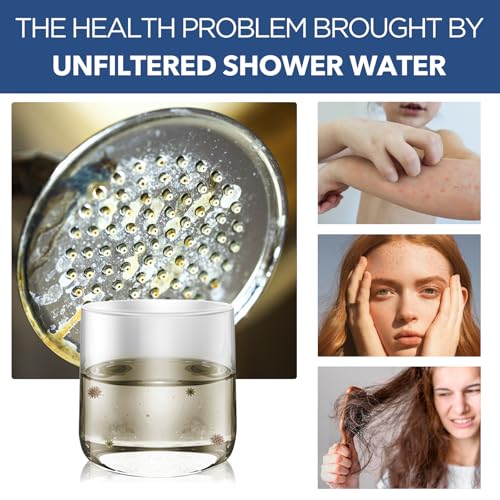 4 Inch Filtered Shower Head with 5 Settings