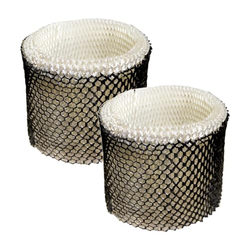 2 pack Wick Filter compatible with Walgreens 890 (2 Count)