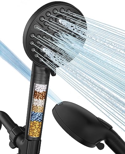 Filtered Shower Head with Handheld