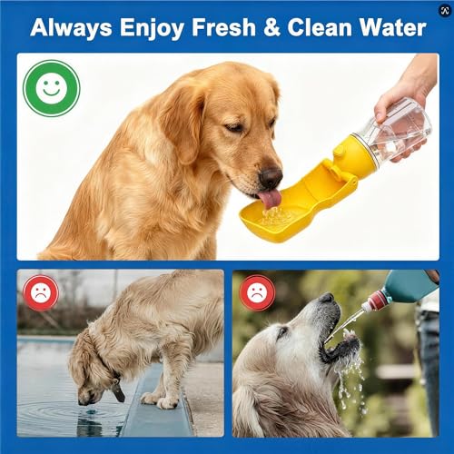 Dog Water Bottle