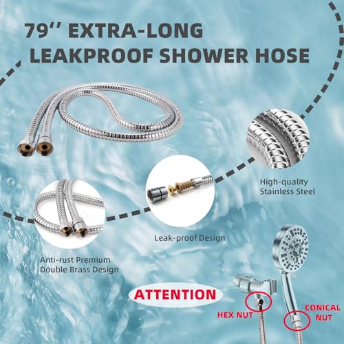 Filtered Shower Head with Handheld
